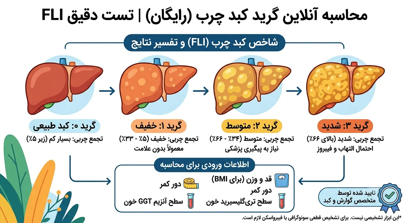 محاسبه آنلاین گرید کبد چرب